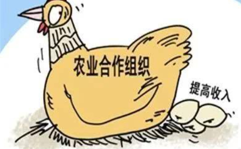 鄭州農(nóng)民專(zhuān)業(yè)合作社注冊(cè)條件及資料